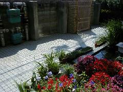 �C�V�]�����w�Z���֑O