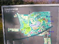 �����ē���