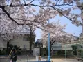 大野町公園の写真(2)