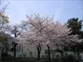 大野東公園の写真(2)