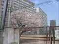 下福島中學校の写真