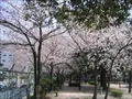下福島公園(1)の写真