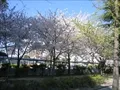 下福島公園(6)の写真